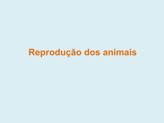 Reprodução dos animais
 