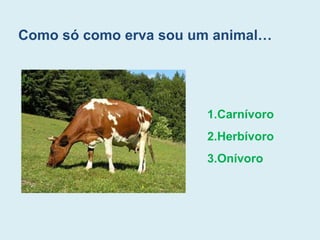 Como só como erva sou um animal…
1.Carnívoro
2.Herbívoro
3.Onívoro
 