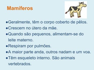 Mamíferos
●Geralmente, têm o corpo coberto de pêlos.
●Crescem no útero da mãe.
●Quando são pequenos, alimentam-se do
leite materno.
●Respiram por pulmões.
●A maior parte anda, outros nadam e um voa.
●Têm esqueleto interno. São animais
vertebrados.
 