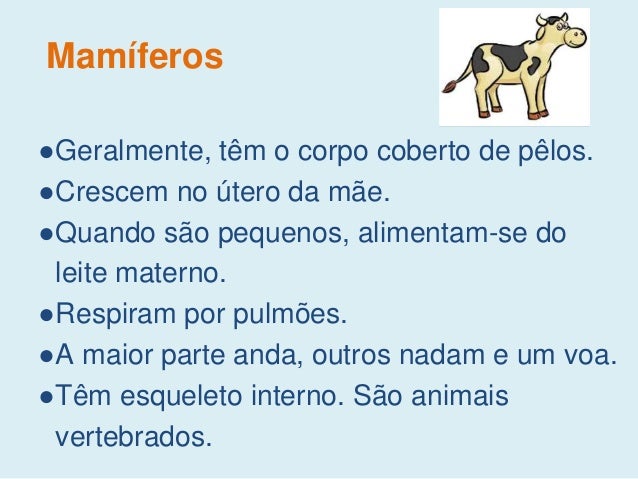 Resultado de imagem para caractéristicas dos mamíferos