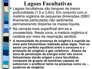 Lagoas Facultativas Lagoas facultativas são tanques de menor profundidade (1,5 a 3,0m).  Em  conjunt o  com a matéria orgânica de pequenas dimensões (DBO finamente particulada) não sedimenta, permanecendo dispersa na massa líquida. Na camada mais superficial tem-se a zonaaeróbia. Nesta zona, a matéria orgânica é oxidada por meio da respiração aeróbia. A necessidade da presença de oxigênio é suprida ao meio pela fotossíntese   realizada pelas algas. Tem-se assim um perfeito equilíbrio entre o consumo e a produção de oxigênio e gás carbônico . Abaixo da zona de penetração da energia solar não ocorre fotossíntese dando origem a zona facultativa, composta de grupos de bactérias capazes de sobreviver e proliferar tanto na presença como na ausência de oxigênio. 