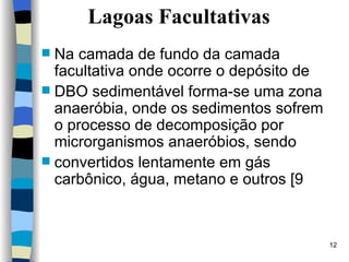 Lagoas Facultativas Na camada de fundo da camada facultativa onde ocorre o depósito de DBO sedimentável forma-se uma zona anaeróbia, onde os sedimentos sofrem o processo de decomposição por microrganismos anaeróbios, sendo convertidos lentamente em gás carbônico, água, metano e outros [9   