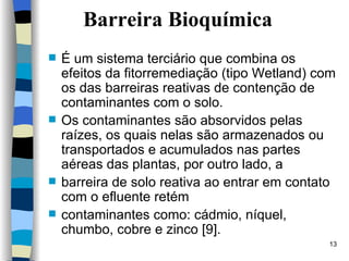 Barreira Bioquímica É um sistema terciário que combina os efeitos da fitorremediação (tipo Wetland) com os das barreiras reativas de contenção de contaminantes com o solo.  Os contaminantes são absorvidos pelas raízes, os quais nelas são armazenados ou transportados e acumulados nas partes aéreas das plantas, por outro lado, a barreira de solo reativa ao entrar em contato com o efluente retém contaminantes como: cádmio, níquel, chumbo, cobre e zinco [9]. 