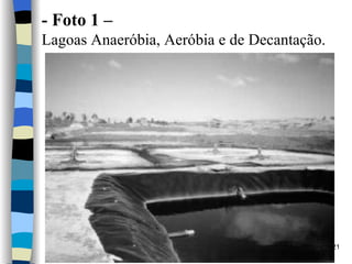 -  Foto 1 –  Lagoas Anaeróbia, Aeróbia e de Decantação. 
