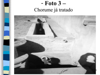 Foto 3 – Chorume já tratado 