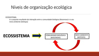 Níveis de organização ecológica
ECOSSISTEMA:
é o conjunto resultante da interação entre a comunidade biológica (biocenose) e o seu
meio ambiente (biótopo)
COMUNIDADE BIOLÓGICA
(BIOCENOSE)
MEIO AMBIENTE
(BIÓTOPO)
ECOSSISTEMA
 