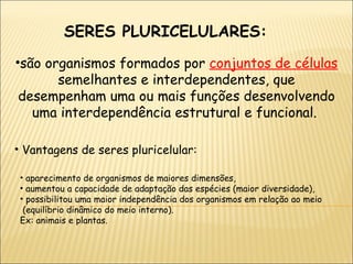 SERES PLURICELULARES: são organismos formados por  conjuntos de células   semelhantes e interdependentes, que desempenham uma ou mais funções desenvolvendo uma interdependência estrutural e funcional.  Vantagens de seres pluricelular: aparecimento de organismos de maiores dimensões,  aumentou a capacidade de adaptação das espécies (maior diversidade),  possibilitou uma maior independência dos organismos em relação ao meio  (equilíbrio dinâmico do meio interno).  Ex: animais e plantas. 
