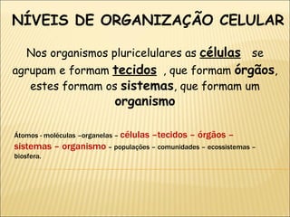 NÍVEIS DE ORGANIZAÇÃO CELULAR Nos organismos pluricelulares as  células   se agrupam e formam  tecidos   , que formam  órgãos , estes formam os  sistemas , que formam um  organismo Átomos - moléculas –organelas –  células –tecidos – órgãos – sistemas – organismo   – populações – comunidades – ecossistemas – biosfera. 