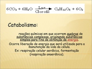 Catabolismo: reações químicas em que ocorrem  quebras  de  substâncias complexas, originando substâncias simples para fins de obtenção de  energia . Ocorre liberação de energia que será utilizada para a manutenção da vida da célula. Ex: respiração celular aeróbica, fermentação (respiração anaeróbica). 