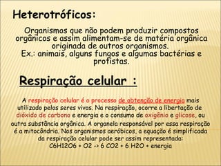 Heterotróficos: Organismos que não podem produzir compostos orgânicos e assim alimentam-se de matéria orgânica originada de outros organismos.  Ex.: animais, alguns fungos e algumas bactérias e protistas. Respiração celular : A  respiração celular é o processo  de obtenção de energia   mais utilizado pelos seres vivos. Na respiração, ocorre a libertação de  dióxido de carbono  e energia e o consumo de  oxigênio  e  glicose , ou outra substância orgânica. A organela responsável por essa respiração é a mitocôndria. Nos organismos aeróbicos, a equação é simplificada da respiração celular pode ser assim representada: C6H12O6 + O2 -> 6 CO2 + 6 H2O + energia 
