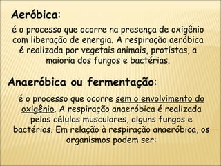 Aeróbica : é o processo que ocorre na presença de oxigênio com liberação de energia. A respiração aeróbica é realizada por vegetais animais, protistas, a maioria dos fungos e bactérias. Anaeróbica ou fermentação : é o processo que ocorre  sem o envolvimento do oxigênio . A respiração anaeróbica é realizada pelas células musculares, alguns fungos e bactérias. Em relação à respiração anaeróbica, os organismos podem ser: 