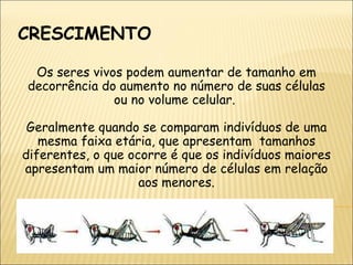 CRESCIMENTO Os seres vivos podem aumentar de tamanho em decorrência do aumento no número de suas células ou no volume celular.  Geralmente quando se comparam indivíduos de uma mesma faixa etária, que apresentam  tamanhos diferentes, o que ocorre é que os indivíduos maiores apresentam um maior número de células em relação aos menores. 