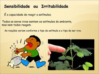 Sensibilidade  ou  Irritabilidade É a capacidade de reagir a estímulos . Todos os seres vivos sentem os estímulos do ambiente, mas nem todos reagem. As reações variam conforme o tipo de estímulo e o tipo de ser vivo. dormideira 