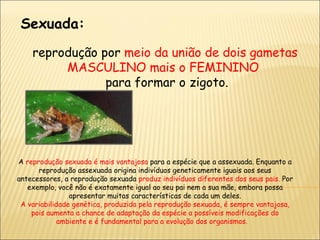 Sexuada: reprodução por  meio da união de dois gametas MASCULINO mais o FEMININO  para formar o zigoto. A  reprodução sexuada é mais vantajosa  para a espécie que a assexuada. Enquanto a reprodução assexuada origina indivíduos geneticamente iguais aos seus antecessores, a reprodução sexuada  produz indivíduos diferentes dos seus pais.  Por exemplo, você não é exatamente igual ao seu pai nem a sua mãe, embora possa apresentar muitas características de cada um deles. A variabilidade genética, produzida pela reprodução sexuada, é sempre vantajosa, pois aumenta a chance de adaptação da espécie a possíveis modificações do ambiente e é fundamental para a evolução dos organismos.    