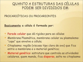 PROCARIÓTICAS OU PROCARIONTES Basicamente  a célula é formada por: Parede celular  que dá rigidez para as células Membrana Plasmática, membrana celular ou plasmalema: “capa” que envolve a célula;  Citoplasma: região (viscosa tipo clara de ovo) que fica entre a membrana e o material genético; Material genético : estrutura que controla as atividades celulares, quem manda, fica  disperso , solto no citoplasma 