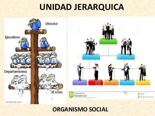 Caracteristicas e importancia de la administracion ENMH