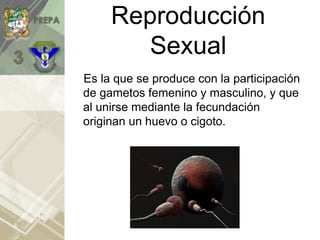 Reproducción
Sexual
Es la que se produce con la participación
de gametos femenino y masculino, y que
al unirse mediante la fecundación
originan un huevo o cigoto.
 