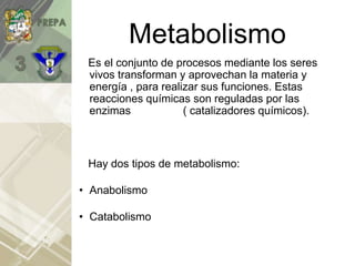 Metabolismo
Es el conjunto de procesos mediante los seres
vivos transforman y aprovechan la materia y
energía , para realizar sus funciones. Estas
reacciones químicas son reguladas por las
enzimas ( catalizadores químicos).
Hay dos tipos de metabolismo:
• Anabolismo
• Catabolismo
 