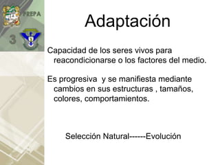 Adaptación
Capacidad de los seres vivos para
reacondicionarse o los factores del medio.
Es progresiva y se manifiesta mediante
cambios en sus estructuras , tamaños,
colores, comportamientos.
Selección Natural------Evolución
 