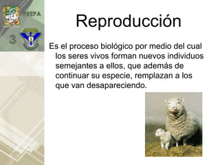 Reproducción
Es el proceso biológico por medio del cual
los seres vivos forman nuevos individuos
semejantes a ellos, que además de
continuar su especie, remplazan a los
que van desapareciendo.
 