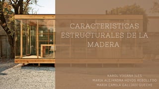CARACTERISTICAS
ESTRUCTURALES DE LA
MADERA
KAROL VIVIANA ILES
MARIA ALEJANDRA HOYOS REBOLLEDO
MARIA CAMILA GALLIADI GUECHE
 