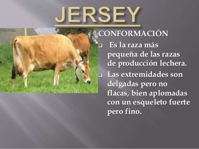 Caracteristicas fenotipicas vacas lecheras
