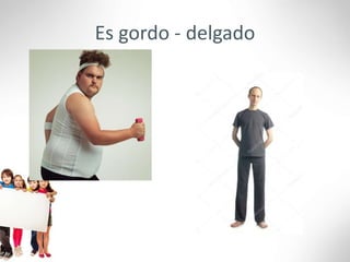 Es gordo - delgado
 