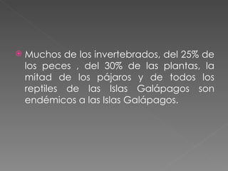 Muchos de los invertebrados, del 25% de los peces , del 30% de las plantas, la mitad de los pájaros y de todos los reptiles de las Islas Galápagos son endémicos a las Islas Galápagos. 