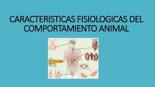 CARACTERISTICAS FISIOLOGICAS DEL
COMPORTAMIENTO ANIMAL
 