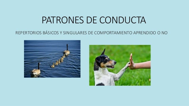 Caracteristicas fisiologicas del comportamiento animal