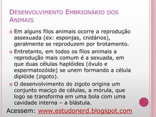 Características Gerais dos Animais - Estudo Nerd | PPTX