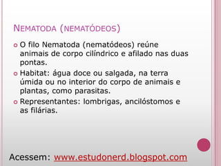 Características Gerais dos Animais - Estudo Nerd