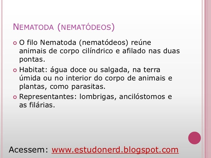Caracteristicas dos nerds Caracteristicas dos nerds