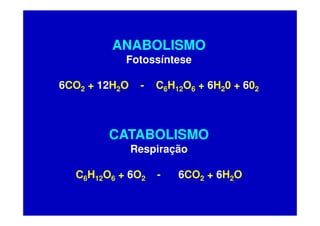 ANABOLISMO
           Fotossíntese

6CO2 + 12H2O    -   C6H12O6 + 6H20 + 602



        CATABOLISMO
               Respira...