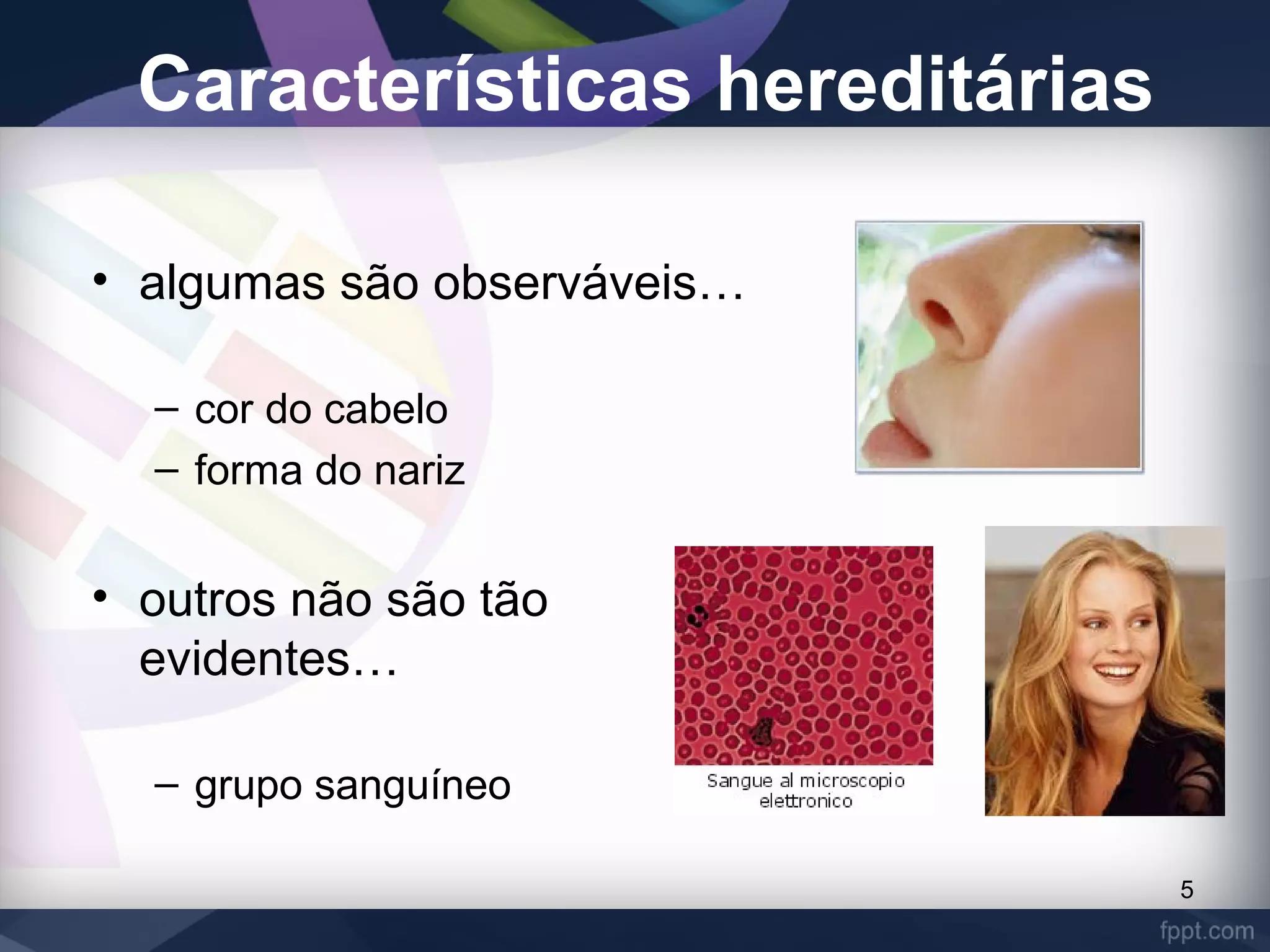 Caracteristicas Hereditárias | PPT