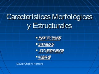CaracterísticasMorfológicasCaracterísticasMorfológicas
y Estructuralesy Estructurales
BACTERIASBACTERIAS
MOHOSMOHOS
 LEVADURASLEVADURAS
VIRUSVIRUS
David Chalini Herrera
 