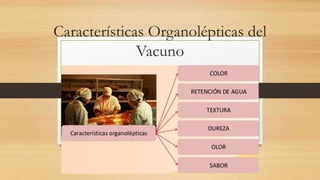 Características Organolépticas del
Vacuno
 
