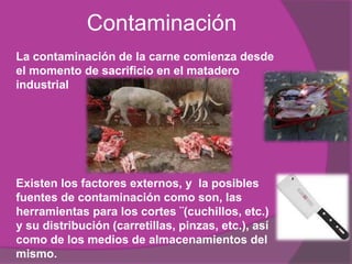 entre 10 y 18 meses de edad. 