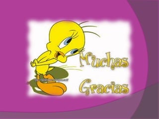 Tiene una carne más desarrollada 