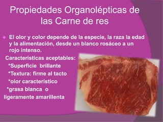 Carne es la estructura compuesta por fibra muscular estriada, acompañada de o no tejido conjuntivo elástico, grasa, fibras nerviosas, vasos linfáticos y sanguíneos, de las especies animales autorizadas para el consumo humano. ResEs un alimento completo y esencial = dieta sana y equilibrada