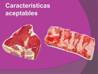 Elevado contenido proteico