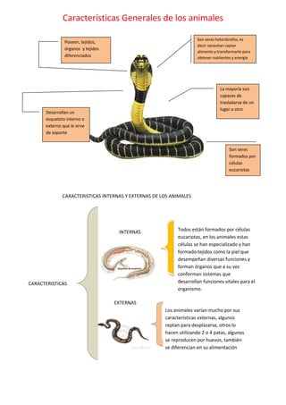 Características Generales de los animales
Son seres heterótrofos, es
decir necesitan captar
alimento y transformarlo para
obtener nutrientes y energía

Poseen, tejidos,
órganos y tejidos
diferenciados

La mayoría son
capaces de
trasladarse de un
lugar a otro

Desarrollan un
esqueleto interno o
externo que le sirve
de soporte

Son seres
formados por
células
eucariotas

CARACTERISTICAS INTERNAS Y EXTERNAS DE LOS ANIMALES

INTERNAS
INTERNAS

CARACTERISTICAS
CARACTERISTICAS

Todos están formados por células
eucariotas, en los animales estas
células se han especializado y han
formado tejidos como la piel que
desempeñan diversas funciones y
forman órganos que a su vez
conforman sistemas que
desarrollan funciones vitales para el
organismo.

EXTERNAS
EXTERNAS
Los animales varían mucho por sus
características externas, algunos
reptan para desplazarse, otros lo
hacen utilizando 2 o 4 patas, algunos
se reproducen por huevos, también
se diferencian en su alimentación

 