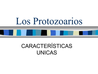 Los Protozoarios
CARACTERÍSTICAS
UNICAS
 
