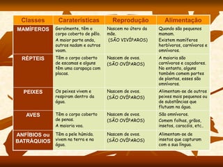 Classes Caraterísticas Reprodução Alimentação
MAMÍFEROS Geralmente, têm o
corpo coberto de pêlo.
A maior parte anda,
outros nadam e outros
voam.
Nascem no útero da
mãe.
(SÃO VIVÍPAROS)
Quando são pequenos
mamam.
Existem mamíferos
herbívoros, carnívoros e
omnívoros.
RÉPTEIS Têm o corpo coberto
de escamas e alguns
têm uma carapaça com
placas.
Nascem de ovos.
(SÃO OVÍPAROS)
A maioria são
carnívoros e caçadores.
No entanto, alguns
também comem partes
de plantas, esses são
omnívoros.
PEIXES Os peixes vivem e
respiram dentro da
água.
Nascem de ovos.
(SÃO OVÍPAROS)
Alimentam-se de outros
peixes mais pequenos ou
de substâncias que
flutuam na água.
AVES Têm o corpo coberto
de penas.
A maioria voa.
Nascem de ovos.
(SÃO OVÍPAROS)
São omnívoros.
Comem folhas, grãos,
insetos, caracóis, etc..
ANFÍBIOS ou
BATRÁQUIOS
Têm a pele húmida.
vivem na terra e na
água.
Nascem de ovos.
(SÃO OVÍPAROS)
Alimentam-se de
insetos que capturam
com a sua língua.
 