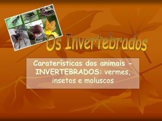 Caraterísticas dos animais -
INVERTEBRADOS: vermes,
insetos e moluscos
 