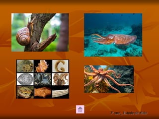 3ª ano _ Estudo do Meio
 