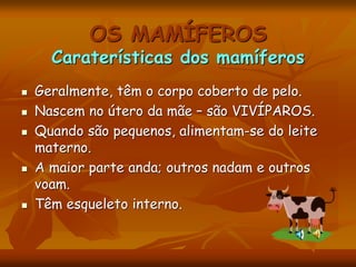 OS MAMÍFEROS
Caraterísticas dos mamíferos
 Geralmente, têm o corpo coberto de pelo.
 Nascem no útero da mãe – são VIVÍPAROS.
 Quando são pequenos, alimentam-se do leite
materno.
 A maior parte anda; outros nadam e outros
voam.
 Têm esqueleto interno.
 