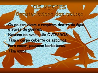 OS PEIXES
Caraterísticas dos peixes
 Os peixes vivem e respiram dentro da água,
através de guelras.
 Nascem de ovos – são OVÍPAROS.
 Têm o corpo coberto de escamas.
 Para nadar, possuem barbatanas.
 Têm ossos.
 
