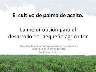 El cultivo de palma de aceite.
La mejor opción para el
desarrollo del pequeño agricultor
Reunión de pequeños agricultores en proceso de
aumento en el nivel de vida.
San Pablo (Bolívar)
 