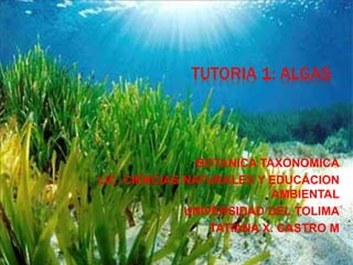 TUTORIA 1: ALGAS
BOTANICA TAXONOMICA
LIC. CIENCIAS NATURALES Y EDUCACION
AMBIENTAL
UNIVERSIDAD DEL TOLIMA
TATIANA X. CASTRO M
 